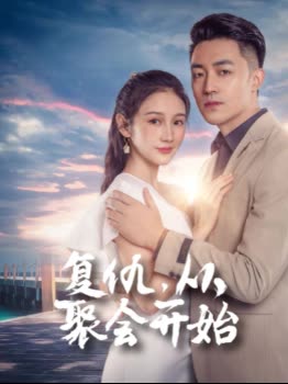 复仇,从聚会开始封面