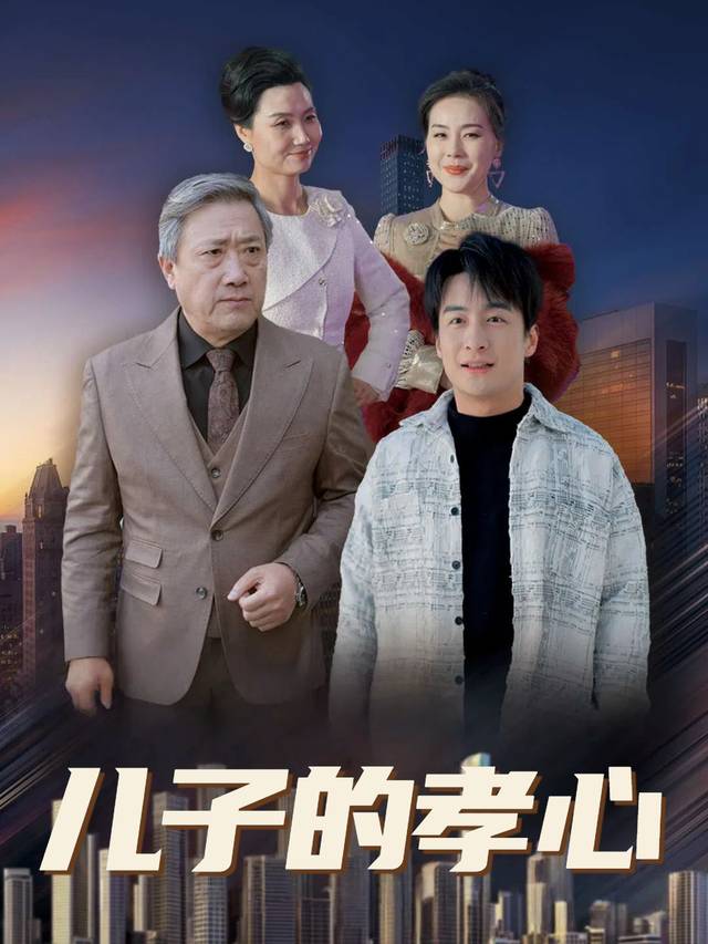 儿子的孝心封面