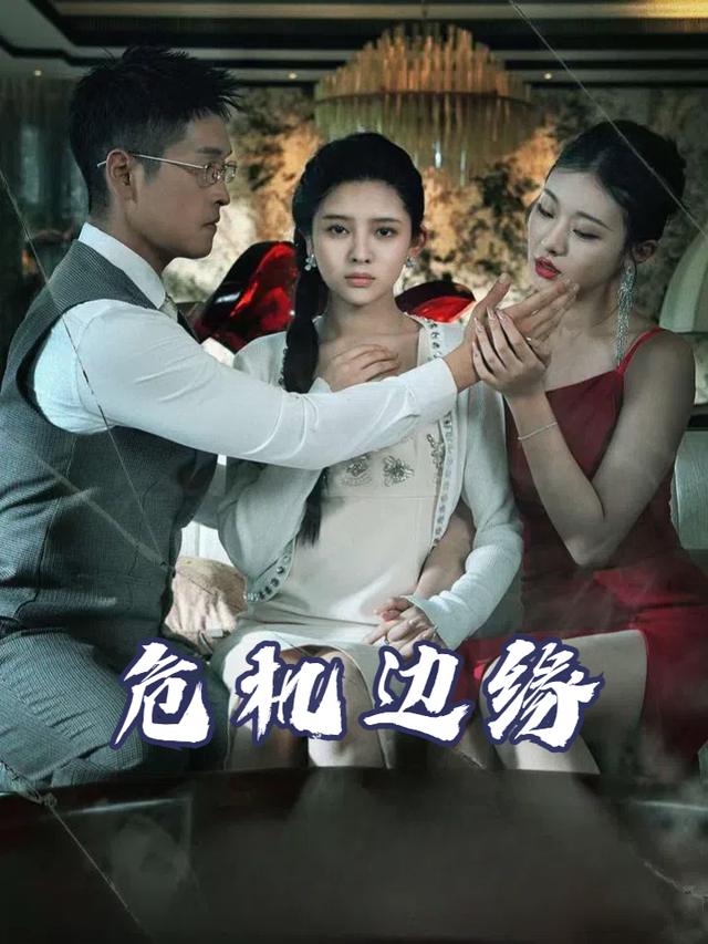 危机边缘封面