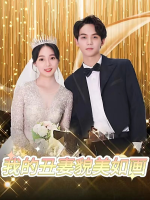 我的丑妻貌美如画封面