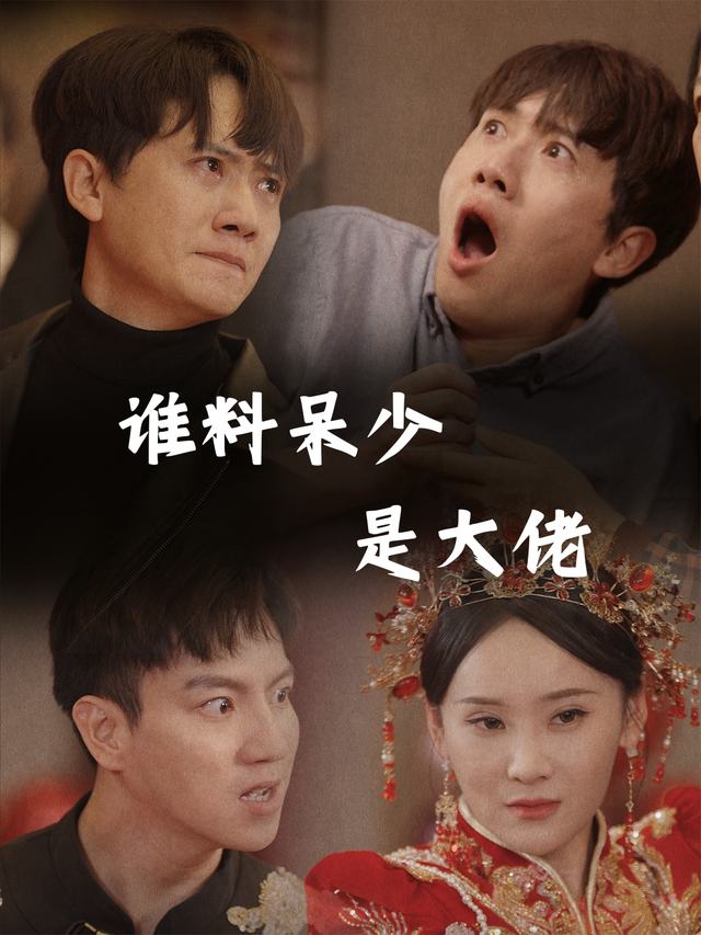 谁料呆少是大佬封面