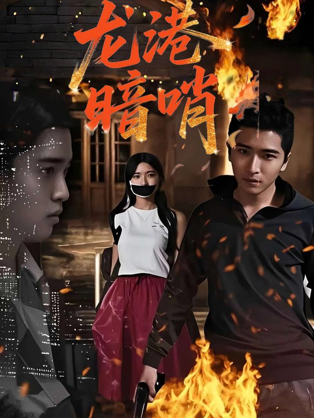 龙港暗哨封面