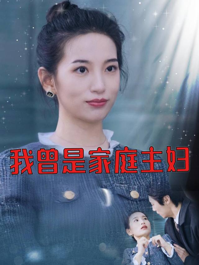 我曾是家庭主妇封面