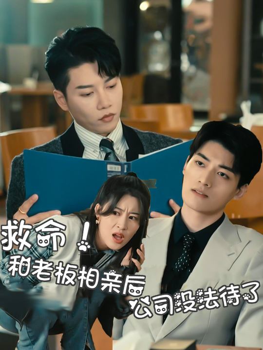 救命!和老板相亲后公司没法待了封面