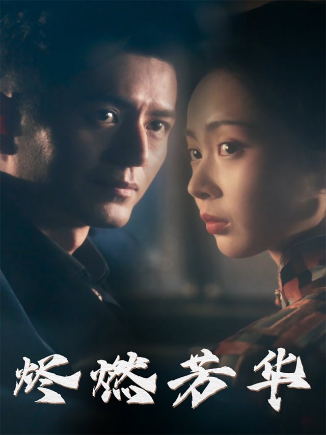 燃尽芳华封面
