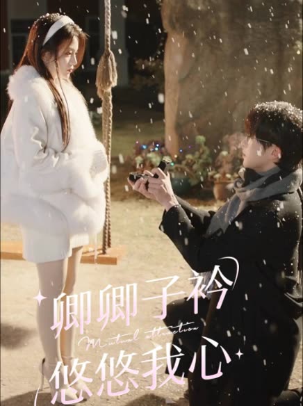 卿卿子衿悠悠我心封面