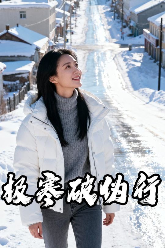 极寒破伪行封面
