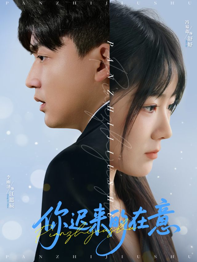 你迟来的在意封面
