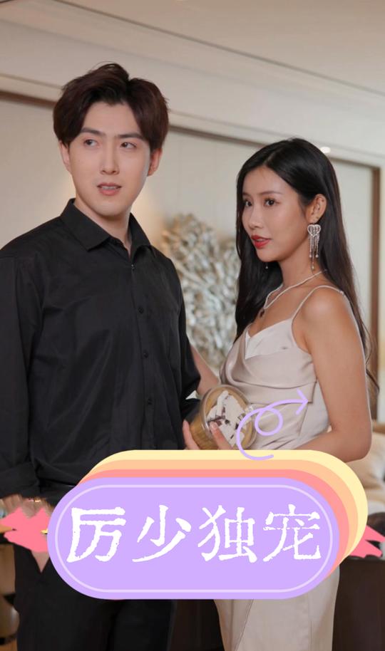 厉少独宠封面