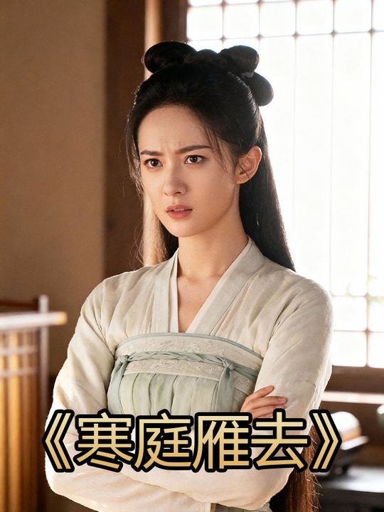 寒庭雁去封面