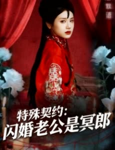 特殊契约:闪婚老公是冥郎封面