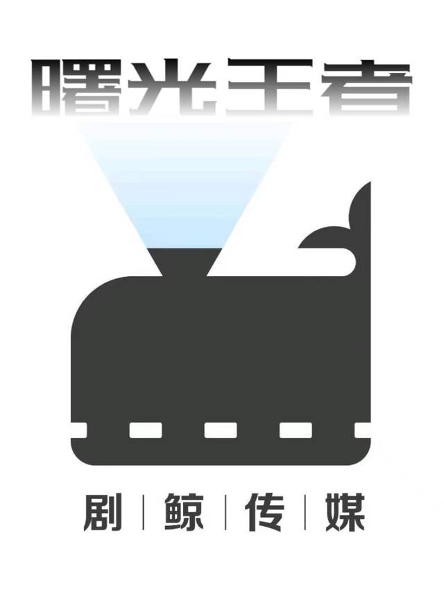 曙光王者封面