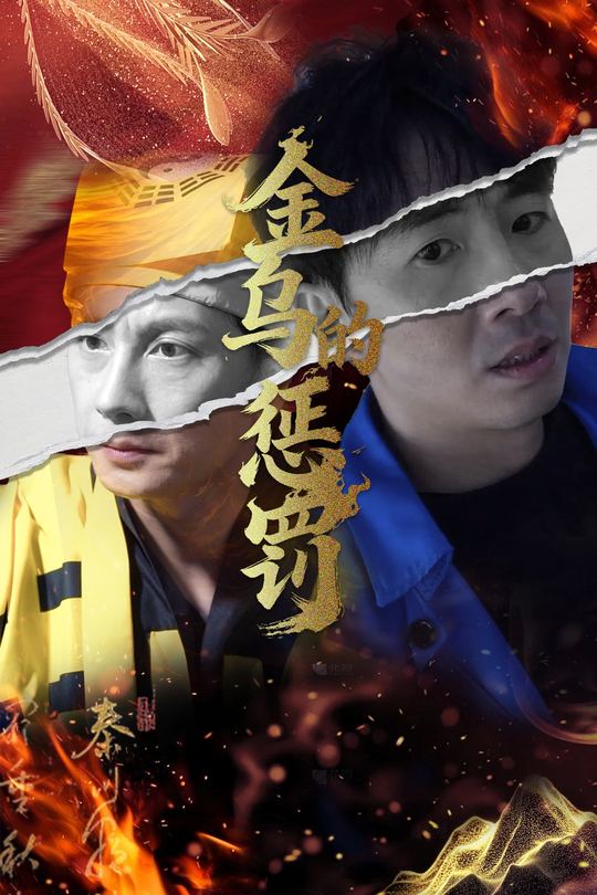 金乌的惩罚封面