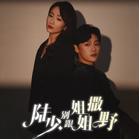 陆少,别跟姐姐撒野封面