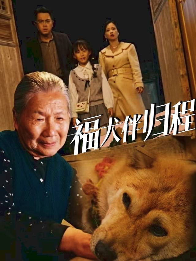 福犬伴归程封面