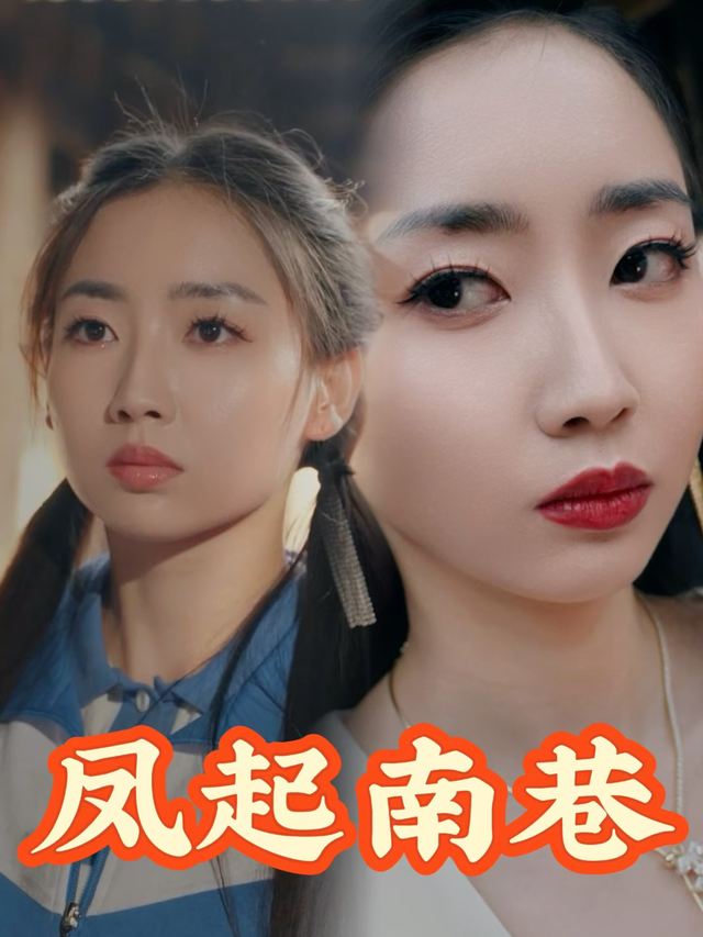 凤起南巷封面