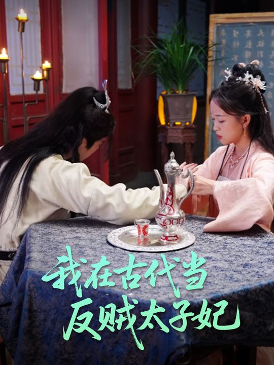 我在古代当反贼太子妃封面