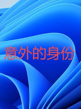 意外的身份封面