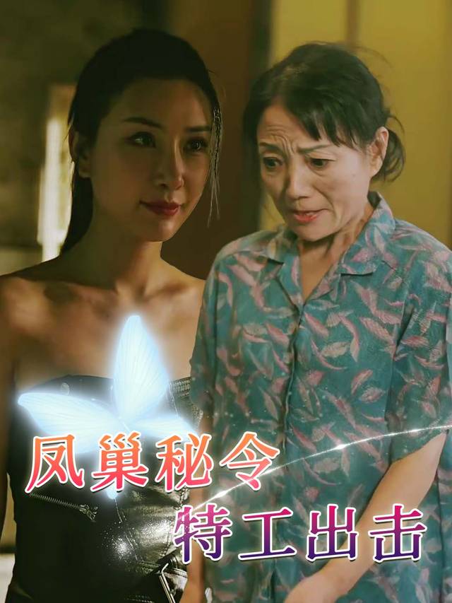 凤巢秘令：特工出击封面
