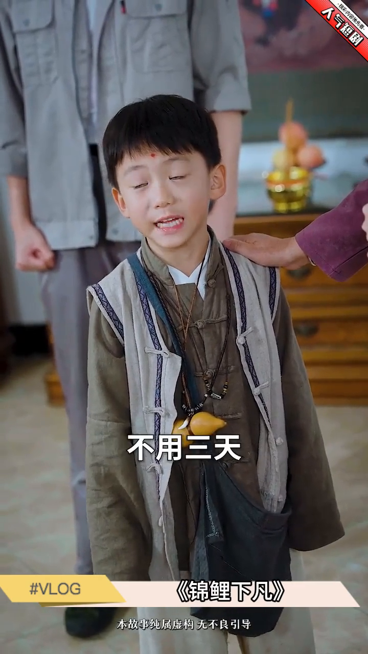 锦鲤下凡封面