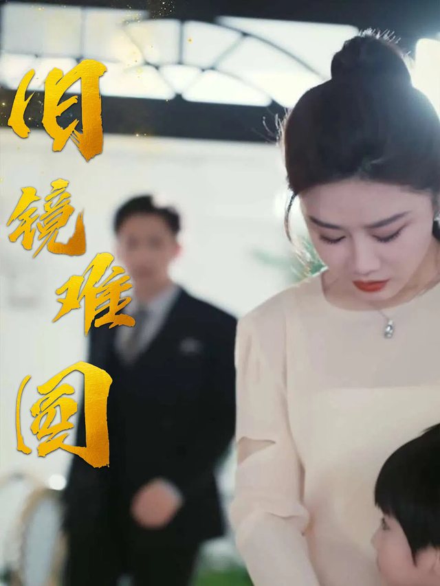 旧镜难圆封面