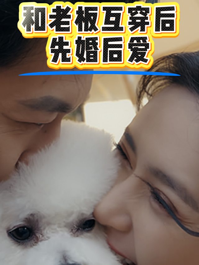 和老板互穿后,先婚后爱封面