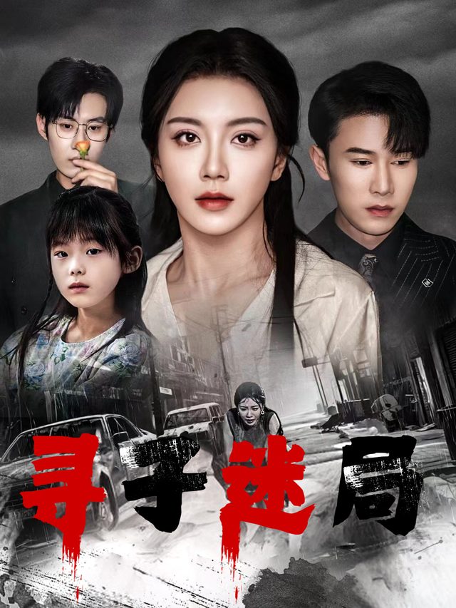 寻子迷局封面