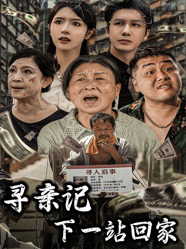 寻亲记,下一站回家封面