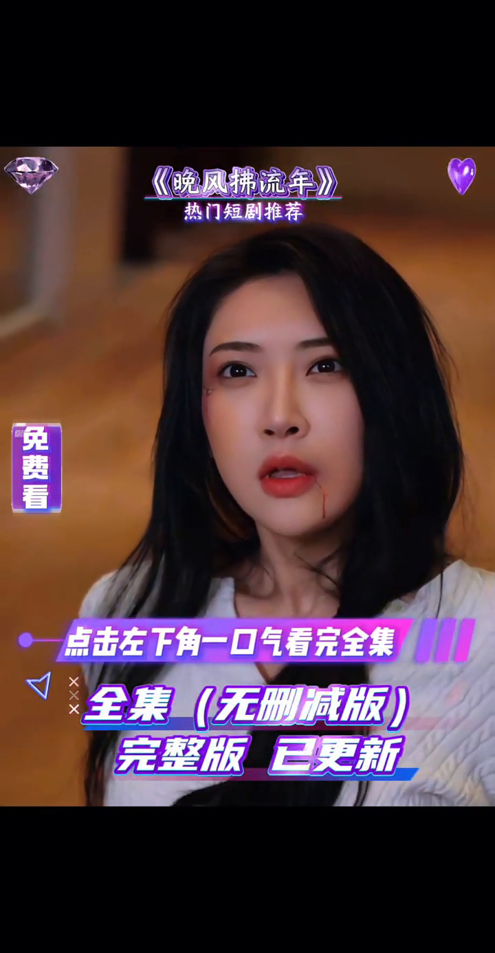 晚风拂流年封面