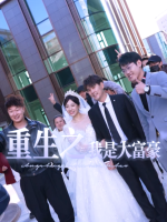 重生之我是大富豪封面