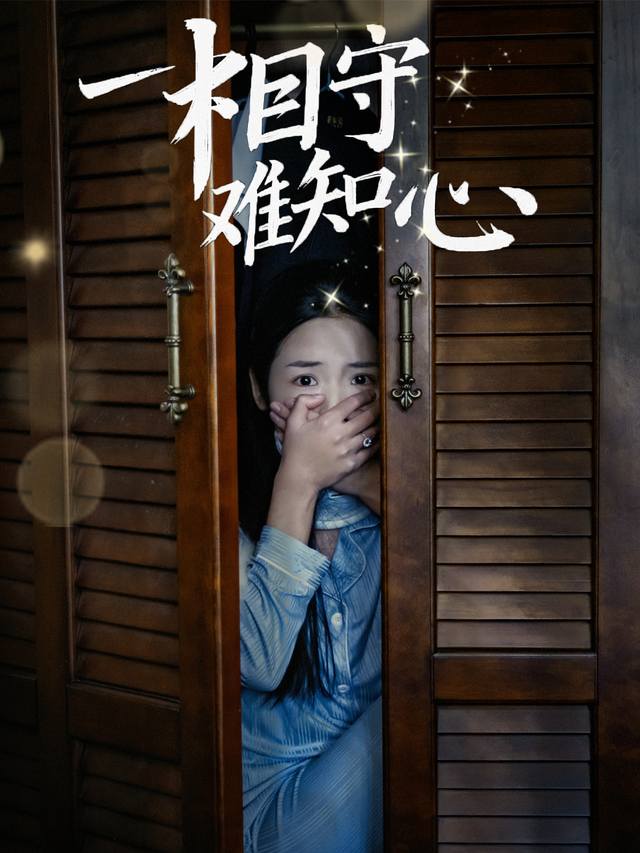 相守难知心封面