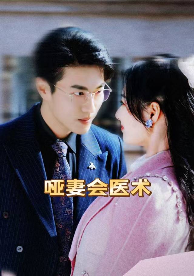 哑妻会医术封面