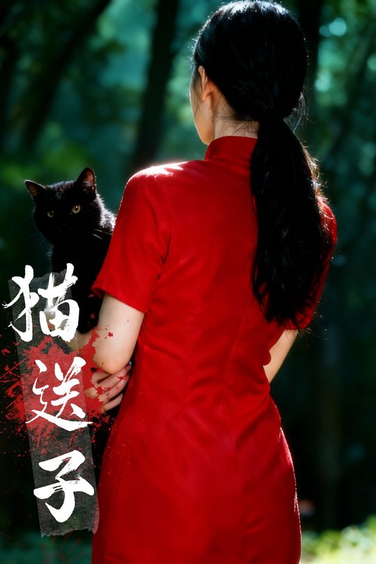 猫送子封面