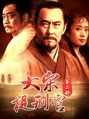 合集 · 大宋提刑官第二部(4)封面