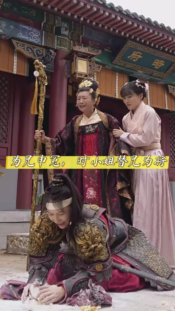 为兄伸冤,时小姐替兄为将封面