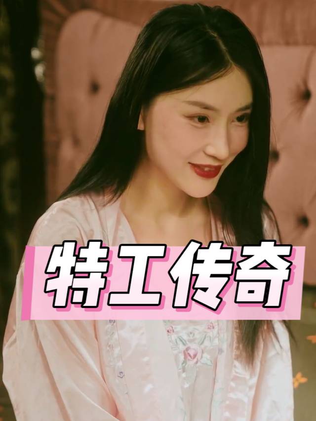 特工传奇封面