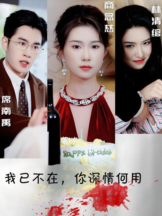 我已不在,你深情何用封面
