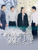 我的三个舅舅是大佬封面
