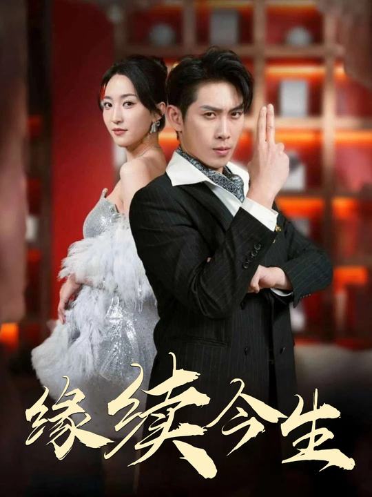 缘续今生封面