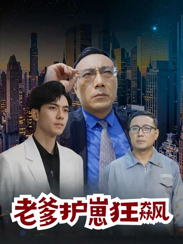 老爹护崽狂飙封面