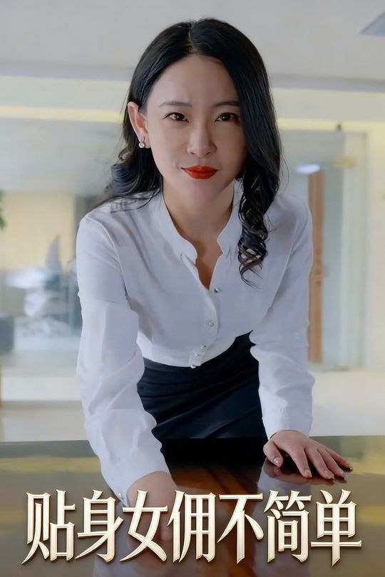 贴身女佣不简单封面