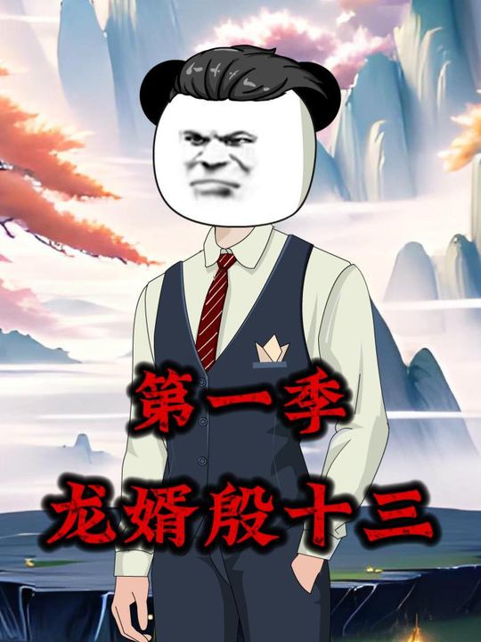 龙婿殷十三封面