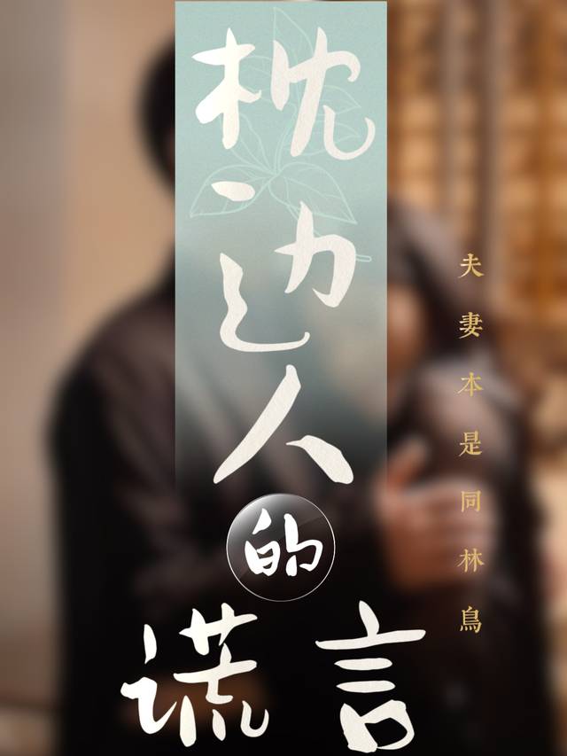 枕边人的谎言封面