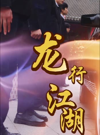 龙行江湖封面