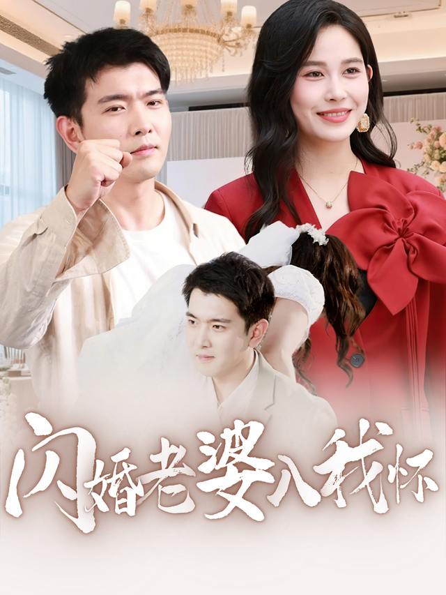 闪婚老婆入我怀封面