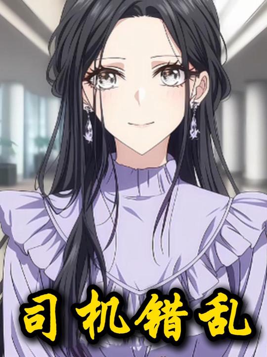 司机错乱封面