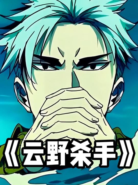 云野杀手封面