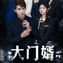 大门婿封面
