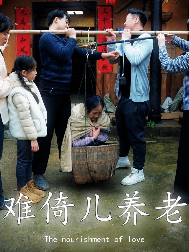 难倚儿养老封面