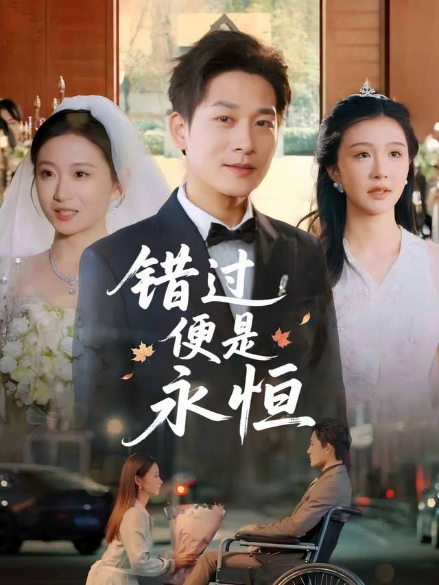 错过便是永恒封面